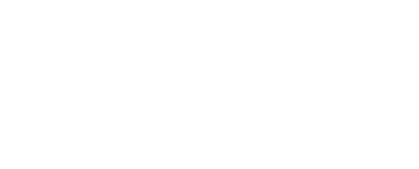 Level X Black